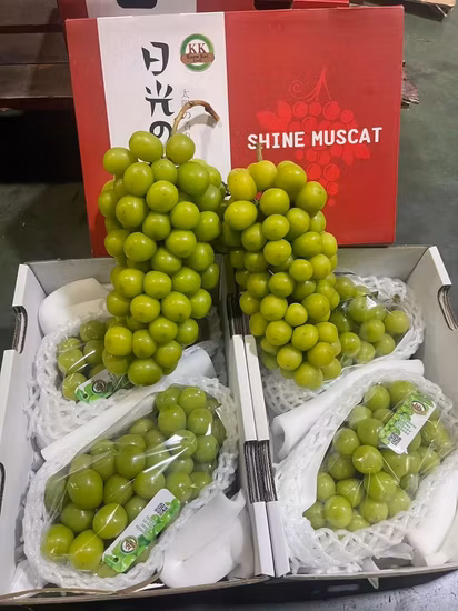 당도가 높은 당도가 높은 포도, 신선하고 천연의 교호