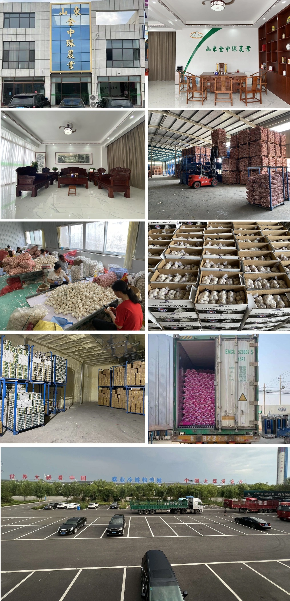 2023 China Garlic Wholesale Price