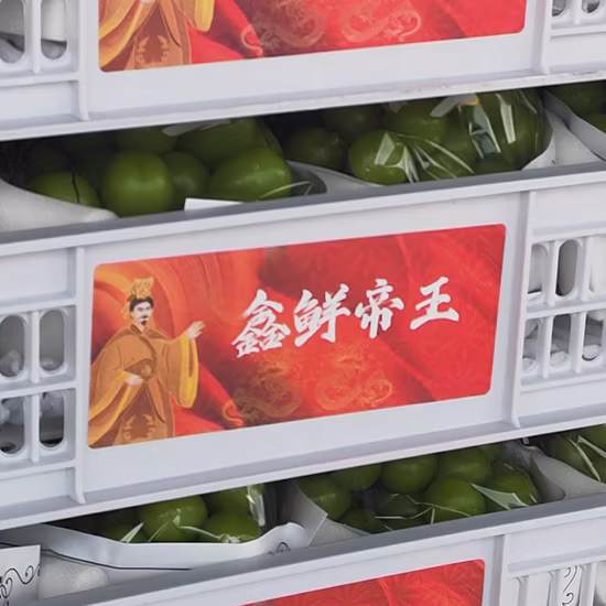 씨 없는 중국 샤인 머스캣 포도