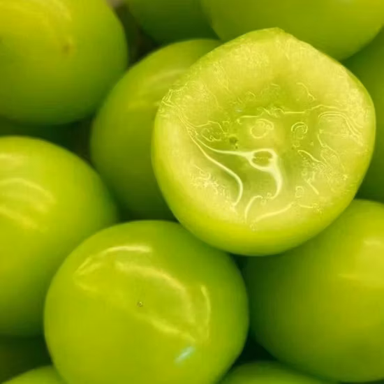 빨간색 맛있는 신선한 과일, 유기농 신선한 포도